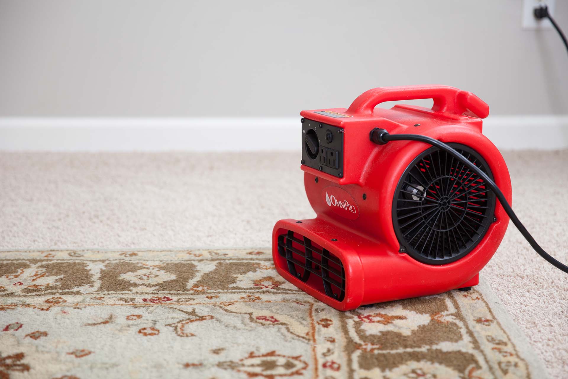 What to do before and after we clean your floors Wingfield's Cleaning